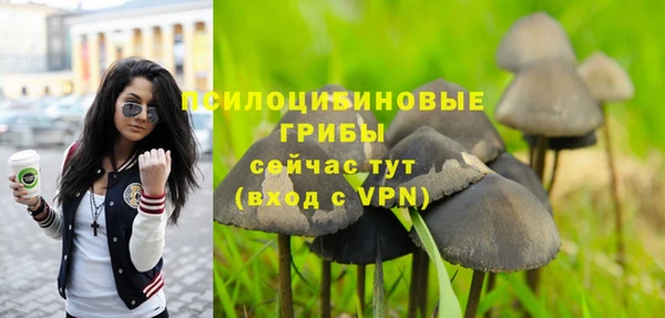 стафф Абдулино