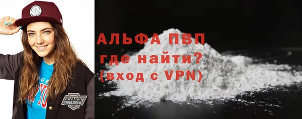 стаф Магас