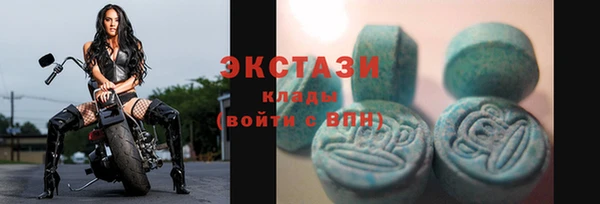 стаф Магас