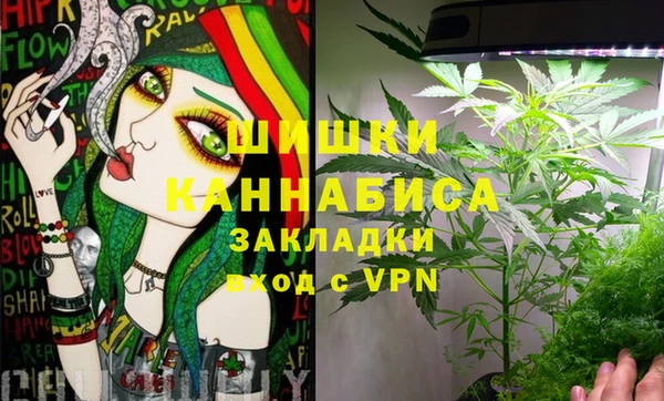 гидра Абаза
